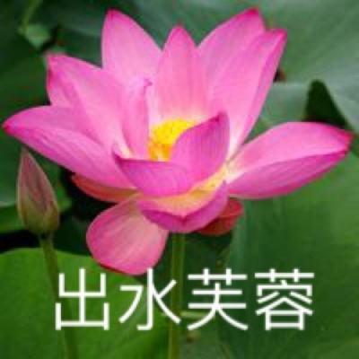 战神传奇bt版公益服下载